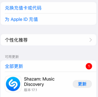 罗平苹果维修分享无法在iPhone上下载或更新应用办法 