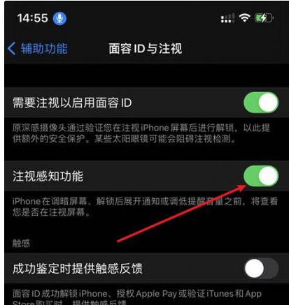 罗平苹果14维修网点分享iPhone14注视感知功能有什么用 